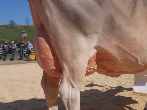 IMG-20190330-WA0004